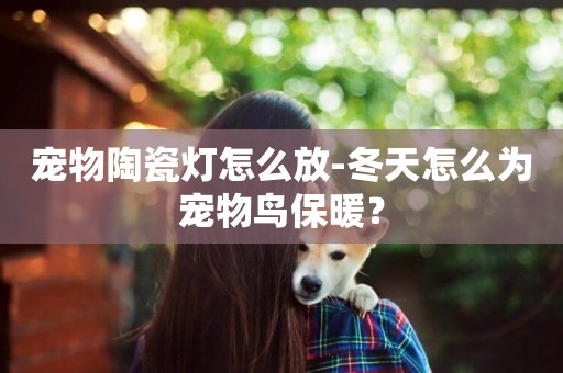 寵物陶瓷燈怎么放-冬天怎么為寵物鳥保暖？