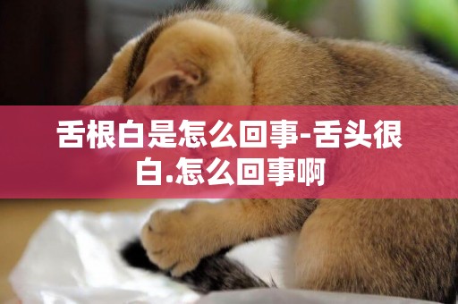 舌根白是怎么回事-舌頭很白.怎么回事啊