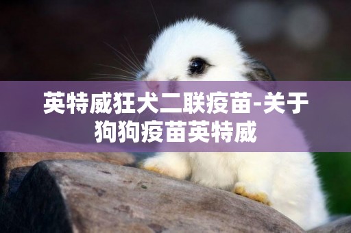 英特威狂犬二聯疫苗-關于狗狗疫苗英特威