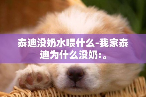 泰迪沒奶水喂什么-我家泰迪為什么沒奶:。