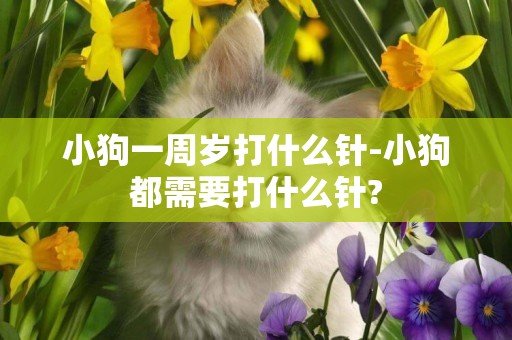 小狗一周歲打什么針-小狗都需要打什么針?