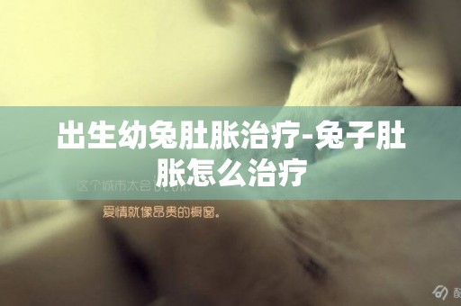 出生幼兔肚脹治療-兔子肚脹怎么治療