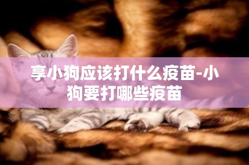 享小狗應該打什么疫苗-小狗要打哪些疫苗