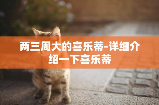 兩三周大的喜樂蒂-詳細介紹一下喜樂蒂