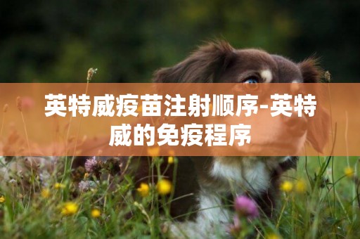 英特威疫苗注射順序-英特威的免疫程序