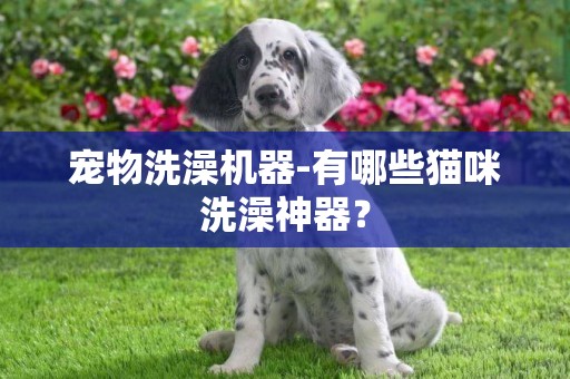 寵物洗澡機器-有哪些貓咪洗澡神器？