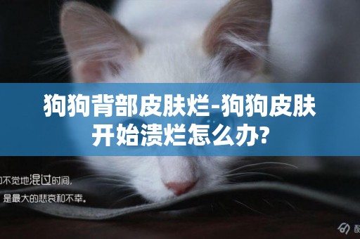 狗狗背部皮膚爛-狗狗皮膚開始潰爛怎么辦?