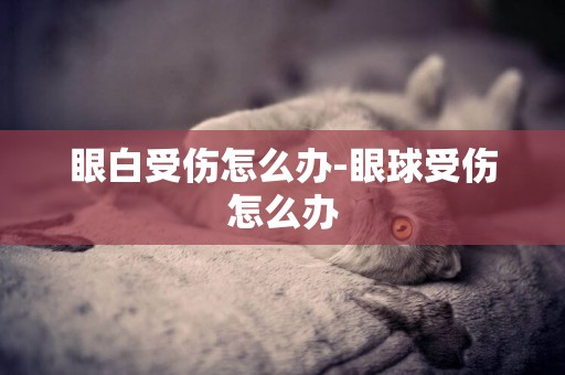 眼白受傷怎么辦-眼球受傷怎么辦