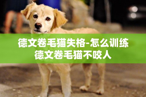 德文卷毛貓失格-怎么訓練德文卷毛貓不咬人