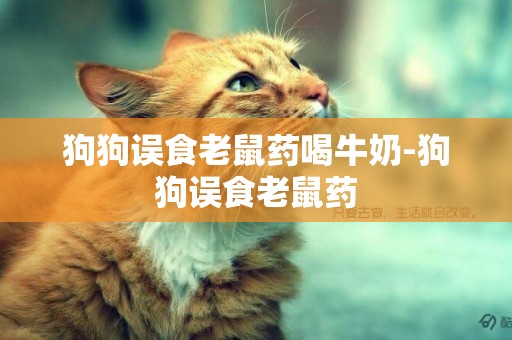 狗狗誤食老鼠藥喝牛奶-狗狗誤食老鼠藥