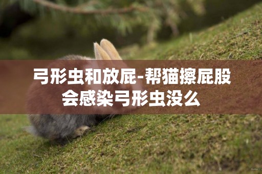 弓形蟲和放屁-幫貓擦屁股會感染弓形蟲沒么