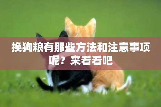 換狗糧有那些方法和注意事項呢？來看看吧
