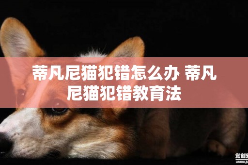 蒂凡尼貓犯錯怎么辦 蒂凡尼貓犯錯教育法