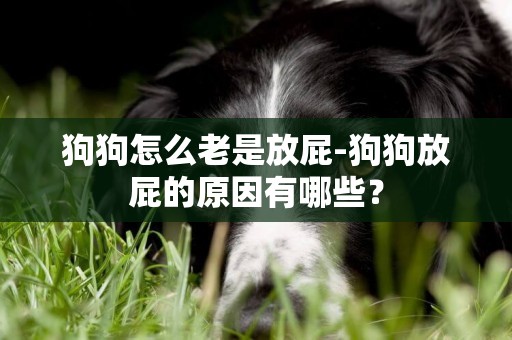 狗狗怎么老是放屁-狗狗放屁的原因有哪些？