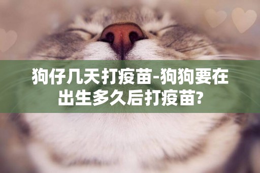 狗仔幾天打疫苗-狗狗要在出生多久后打疫苗?