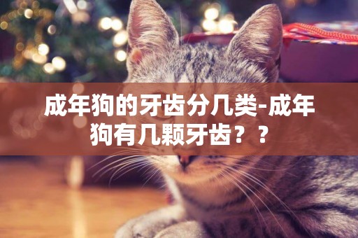 成年狗的牙齒分幾類-成年狗有幾顆牙齒？？