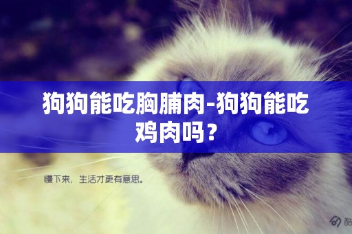 狗狗能吃胸脯肉-狗狗能吃雞肉嗎？