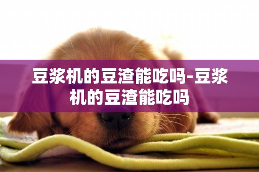 豆漿機的豆渣能吃嗎-豆漿機的豆渣能吃嗎