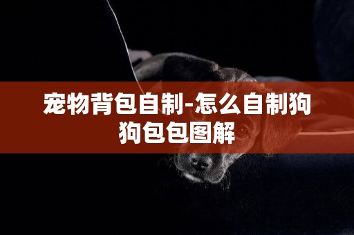 寵物背包自制-怎么自制狗狗包包圖解