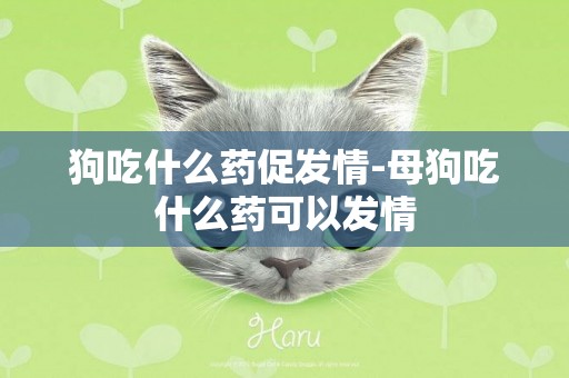 狗吃什么藥促發情-母狗吃什么藥可以發情