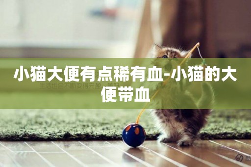 小貓大便有點稀有血-小貓的大便帶血