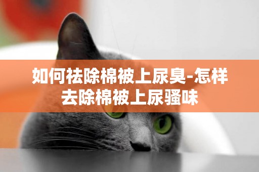 如何祛除棉被上尿臭-怎樣去除棉被上尿騷味