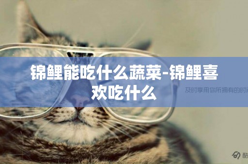 錦鯉能吃什么蔬菜-錦鯉喜歡吃什么