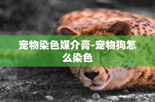 寵物染色媒介膏-寵物狗怎么染色