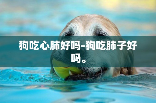 狗吃心肺好嗎-狗吃肺子好嗎。