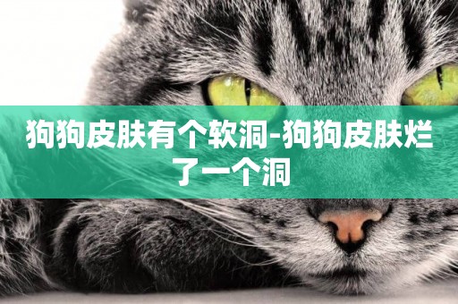 狗狗皮膚有個軟洞-狗狗皮膚爛了一個洞