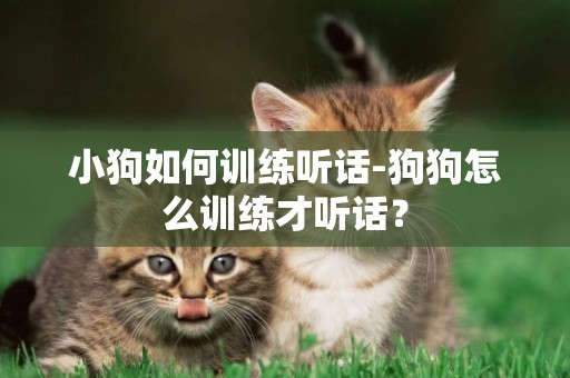 小狗如何訓練聽話-狗狗怎么訓練才聽話？