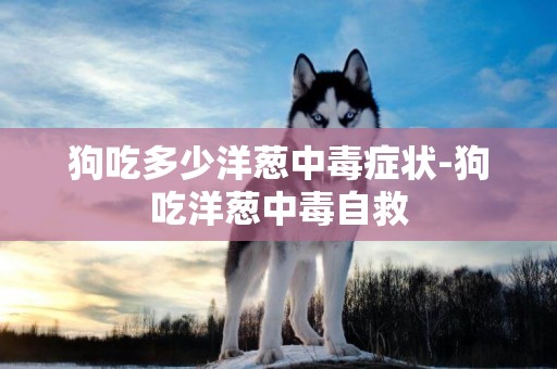 狗吃多少洋蔥中毒癥狀-狗吃洋蔥中毒自救
