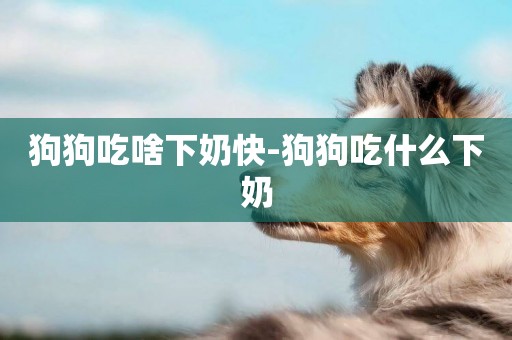 狗狗吃啥下奶快-狗狗吃什么下奶
