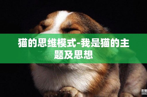 貓的思維模式-我是貓的主題及思想