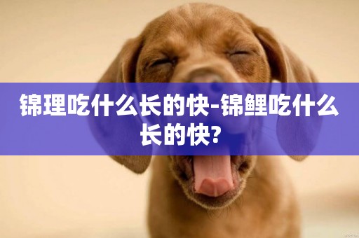 錦理吃什么長的快-錦鯉吃什么長的快?