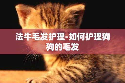 法牛毛發護理-如何護理狗狗的毛發