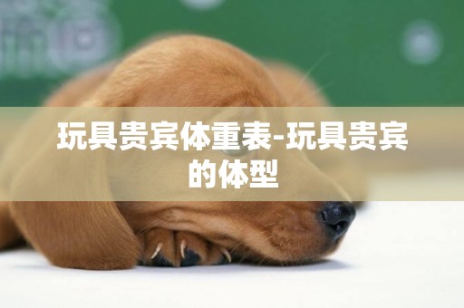 玩具貴賓體重表-玩具貴賓的體型