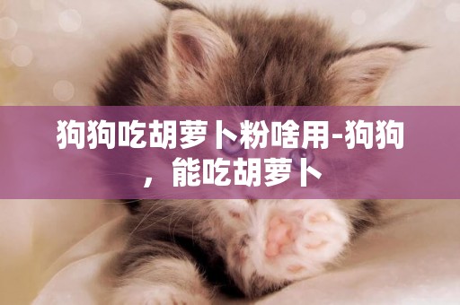 狗狗吃胡蘿卜粉啥用-狗狗，能吃胡蘿卜