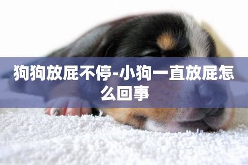 狗狗放屁不停-小狗一直放屁怎么回事
