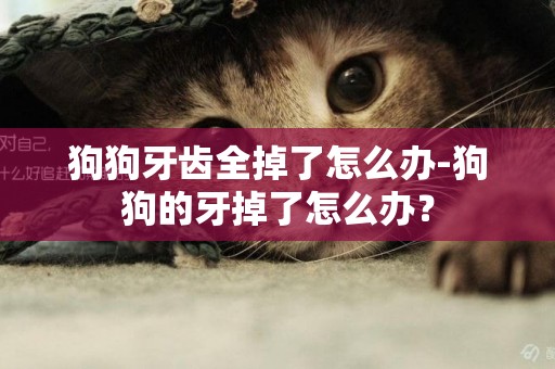 狗狗牙齒全掉了怎么辦-狗狗的牙掉了怎么辦？