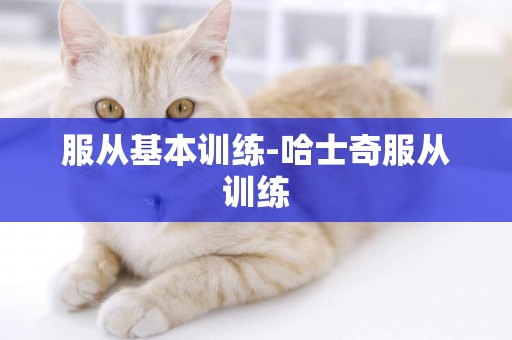 服從基本訓練-哈士奇服從訓練
