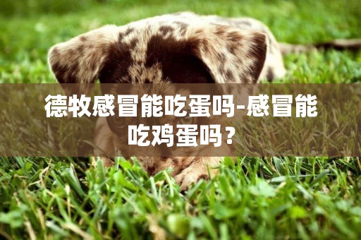 德牧感冒能吃蛋嗎-感冒能吃雞蛋嗎？