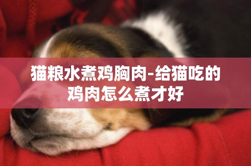 貓糧水煮雞胸肉-給貓吃的雞肉怎么煮才好