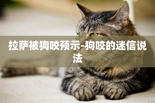 拉薩被狗咬預示-狗咬的迷信說法