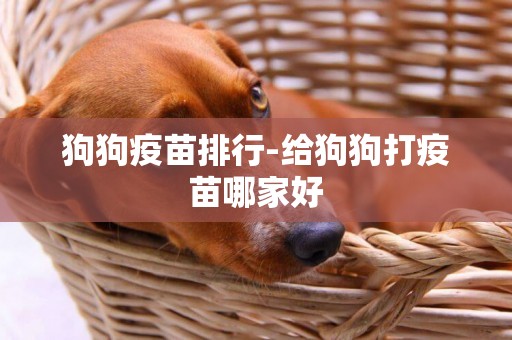 狗狗疫苗排行-給狗狗打疫苗哪家好