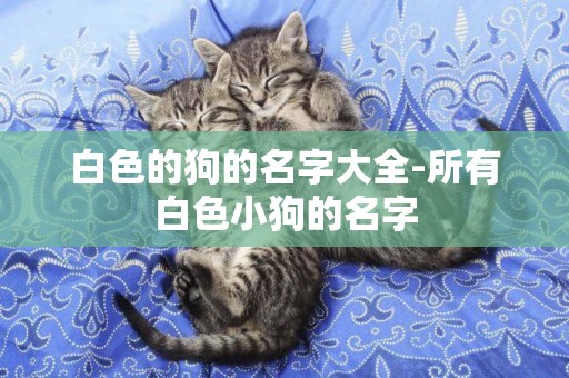 白色的狗的名字大全-所有白色小狗的名字