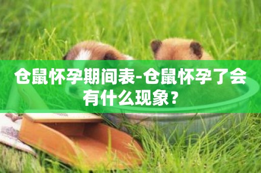 倉鼠懷孕期間表-倉鼠懷孕了會有什么現象？