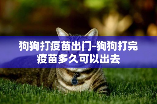 狗狗打疫苗出門-狗狗打完疫苗多久可以出去