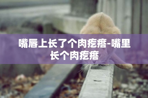 嘴唇上長了個肉疙瘩-嘴里長個肉疙瘩