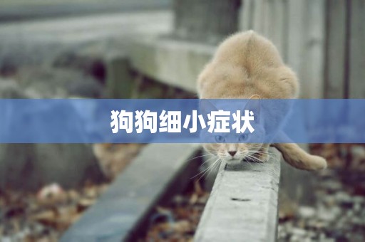 狗狗細小癥狀